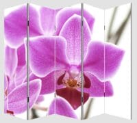 Foto-Paravent ~ 180x200cm Orchidee