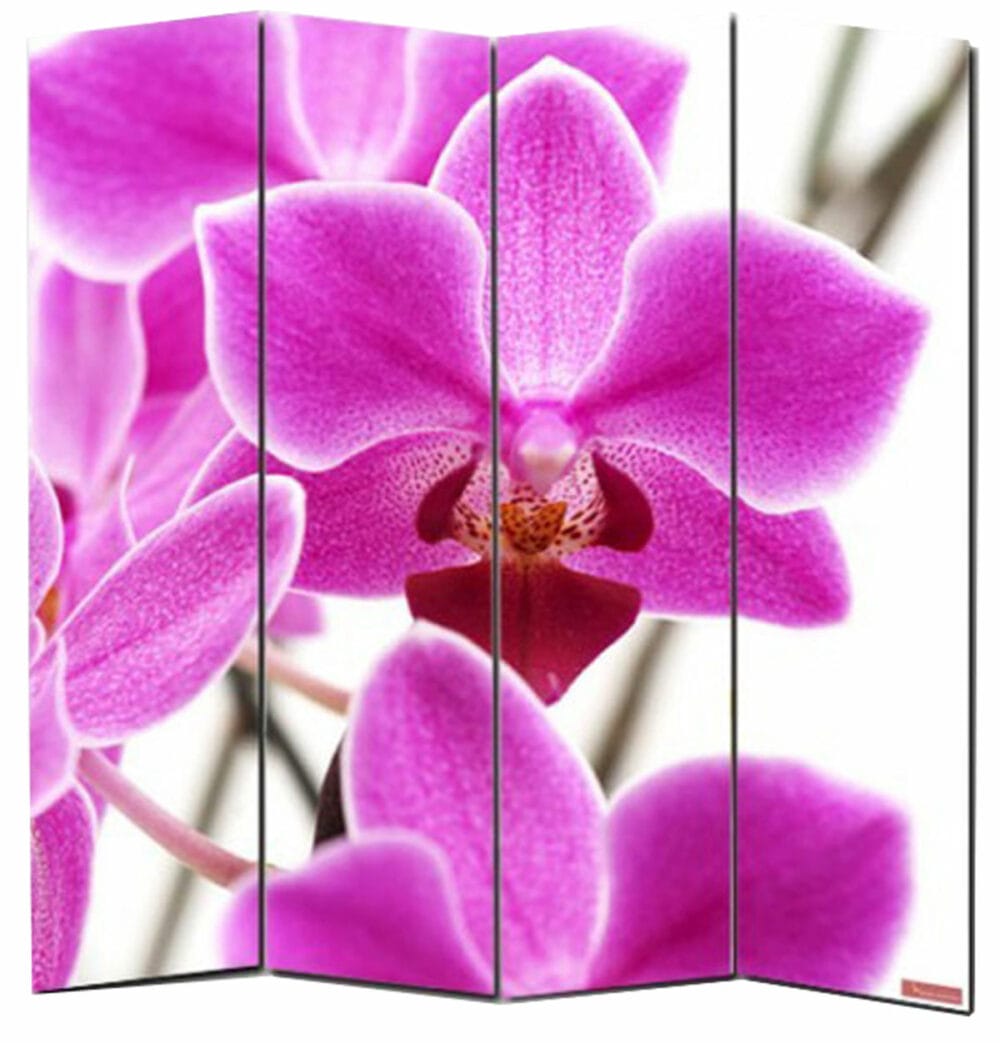 Foto Paravent Paravent Spanische Wand M68 ~ 180x160cm Orchidee