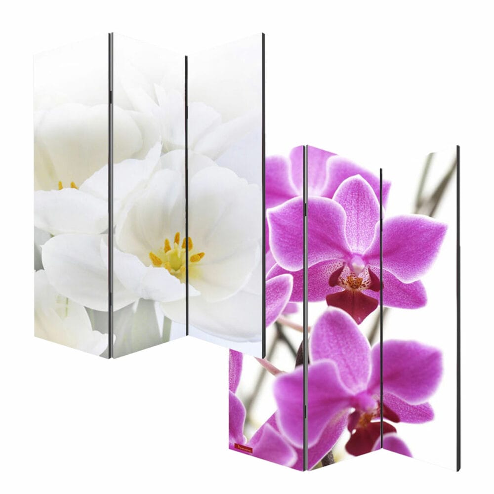 Foto-Paravent Raumteiler 180x120cm Orchidee