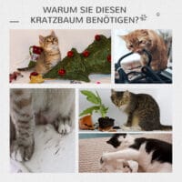 Katzenbaum Kratzbaum 67x38.5x114cm