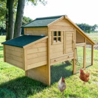 Komfort Hühnerhaus Hühnerstall mit Nistkasten