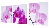 Leinwandbild Wandbild 3-teilig 150x50cm ~ Orchidee