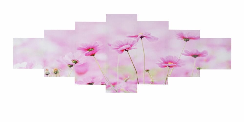 Leinwandbild Wandbild 7-teilig 140x50cm ~ Blumen