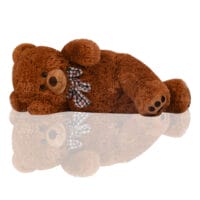 Teddybär Plüsch Teddy 50cm in Braun