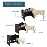 Hundenapf erhöht mit 2 Futterschüsseln Edelstahl 54 x 31,5 x 47cm